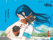 极速传说漫画封面